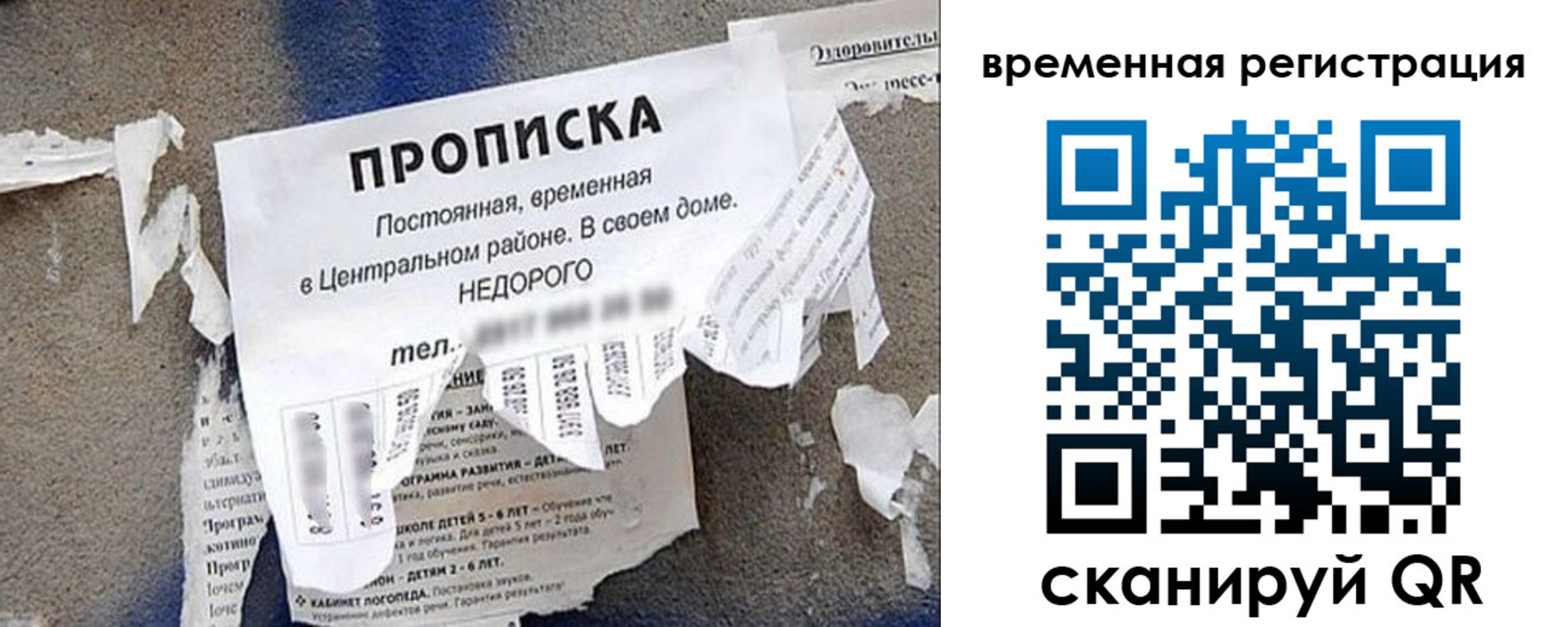 прописка от собственника в Курске