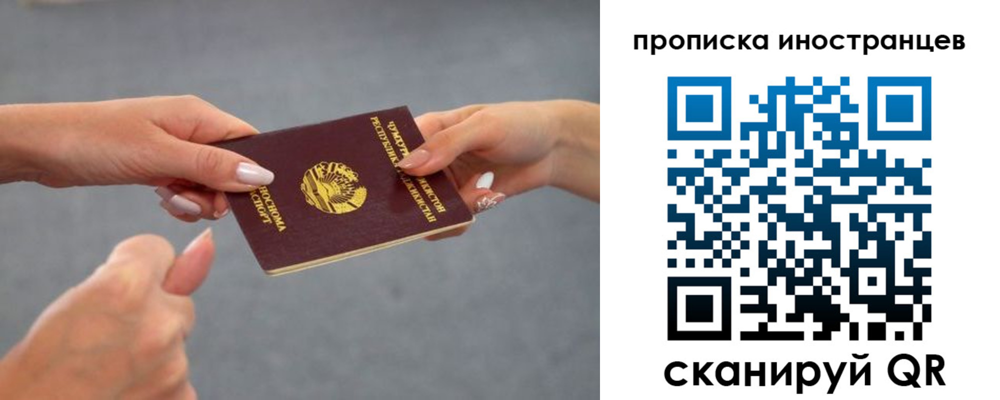 где прописаться в Курске